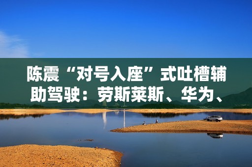 陈震“对号入座”式吐槽辅助驾驶：劳斯莱斯、华为、特斯拉谁是真老司机！