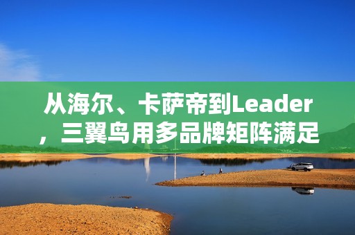 从海尔、卡萨帝到Leader，三翼鸟用多品牌矩阵满足中国家庭需求