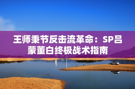 王师秉节反击流革命：SP吕蒙董白终极战术指南