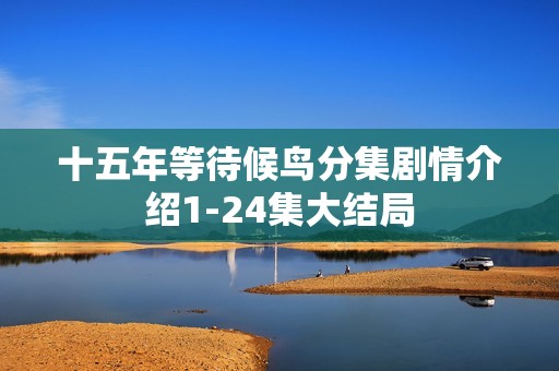 十五年等待候鸟分集剧情介绍1-24集大结局