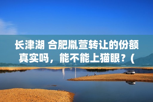 长津湖 合肥胤萱转让的份额真实吗，能不能上猫眼？(screenx 长津湖)