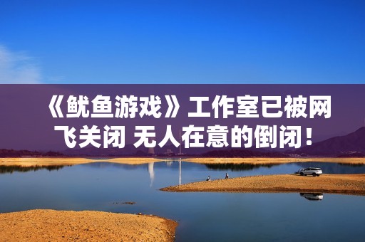 《鱿鱼游戏》工作室已被网飞关闭 无人在意的倒闭！