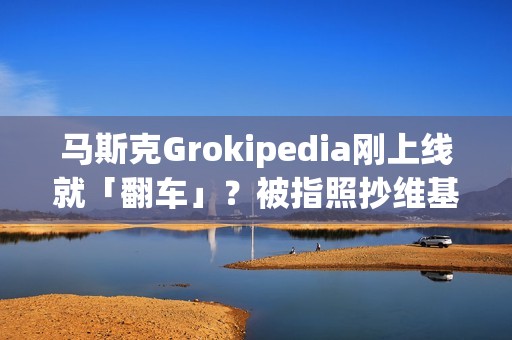 马斯克Grokipedia刚上线就「翻车」？被指照抄维基，中文支持一塌糊涂