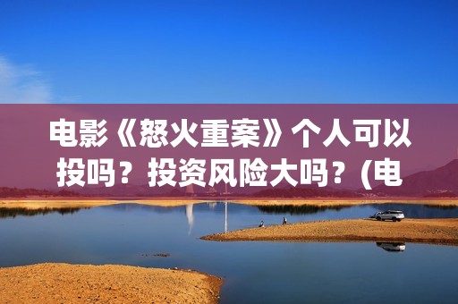 电影《怒火重案》个人可以投吗？投资风险大吗？(电影《怒火重案》 国语)