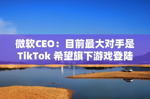 微软CEO：目前最大对手是TikTok 希望旗下游戏登陆所有平台