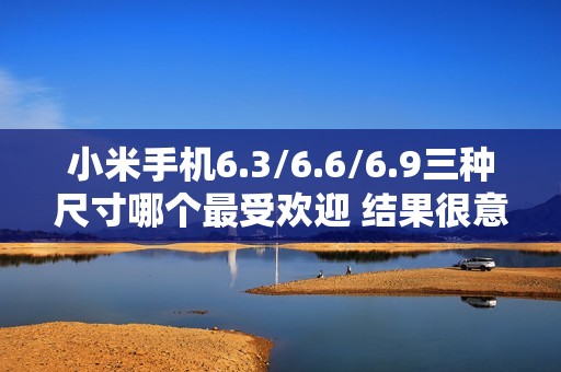 小米手机6.3/6.6/6.9三种尺寸哪个最受欢迎 结果很意外