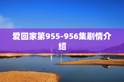 爱回家第955-956集剧情介绍