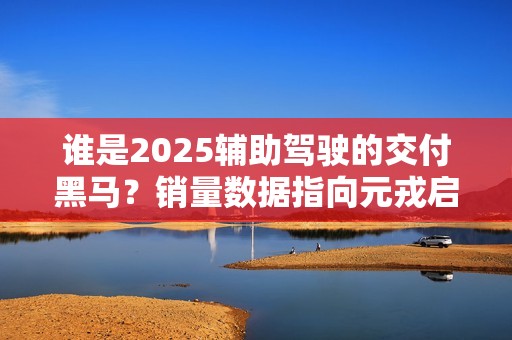 谁是2025辅助驾驶的交付黑马？销量数据指向元戎启行