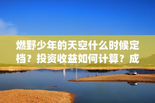 燃野少年的天空什么时候定档？投资收益如何计算？成本是多少？(燃野少年的天空主题曲)