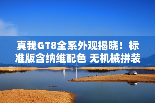 真我GT8全系外观揭晓！标准版含纳维配色 无机械拼装