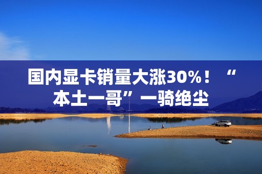 国内显卡销量大涨30%!“本土一哥”一骑绝尘 国内显卡销量大涨30%!“本土一哥”一骑绝尘