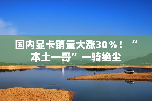 国内显卡销量大涨30％！“本土一哥”一骑绝尘