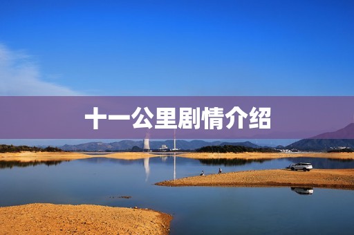 十一公里剧情介绍