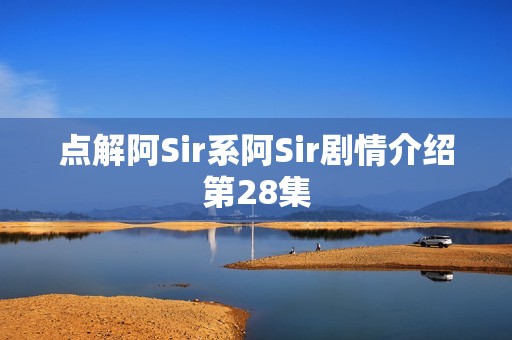 点解阿Sir系阿Sir剧情介绍第28集