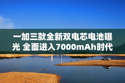 一加三款全新双电芯电池曝光 全面进入7000mAh时代