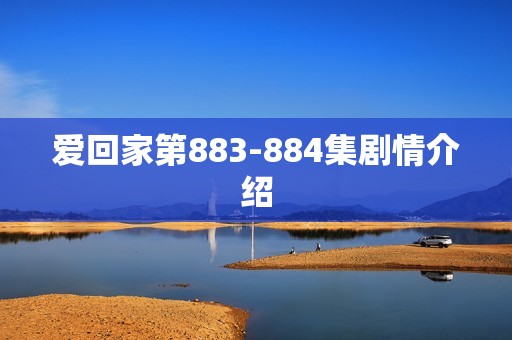爱回家第883-884集剧情介绍
