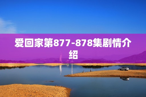 爱回家第877-878集剧情介绍