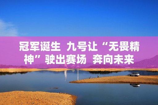 冠军诞生  九号让“无畏精神”驶出赛场  奔向未来