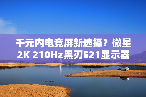 千元内电竞屏新选择？微星2K 210Hz黑刃E21显示器仅售789元