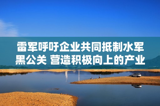 雷军呼吁企业共同抵制水军黑公关 营造积极向上的产业发展环境