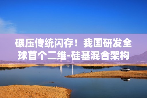 碾压传统闪存！我国研发全球首个二维-硅基混合架构闪存芯片