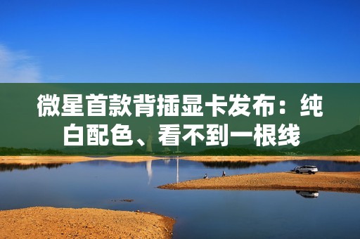 微星首款背插显卡发布：纯白配色、看不到一根线