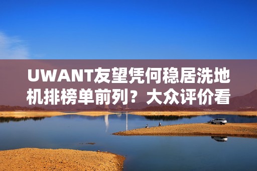 UWANT友望凭何稳居洗地机排榜单前列？大众评价看产品硬实力