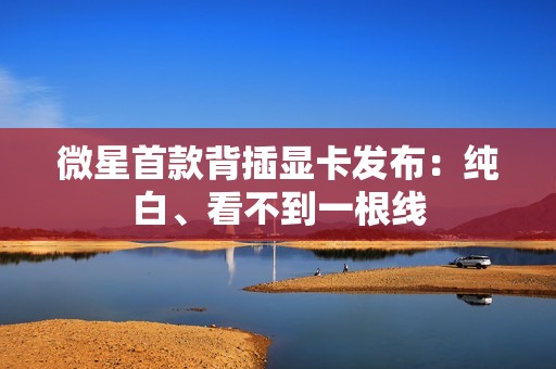 微星首款背插显卡发布：纯白、看不到一根线