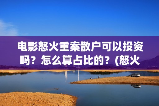 电影怒火重案散户可以投资吗？怎么算占比的？(怒火重案原版)