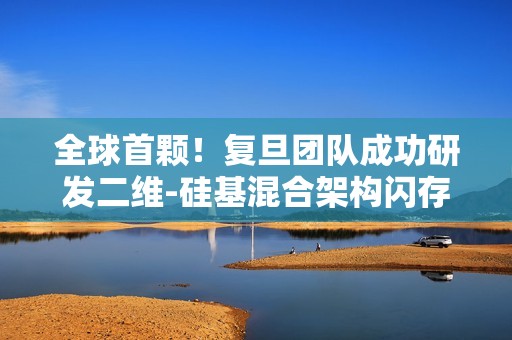 全球首颗！复旦团队成功研发二维-硅基混合架构闪存芯片