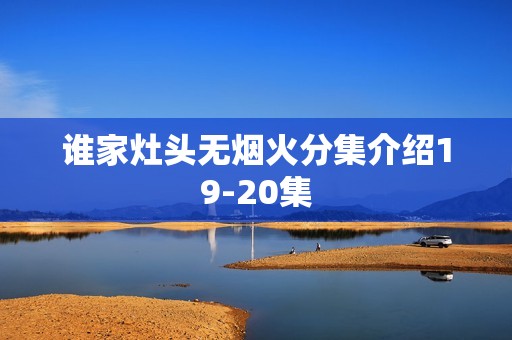 谁家灶头无烟火分集介绍19-20集
