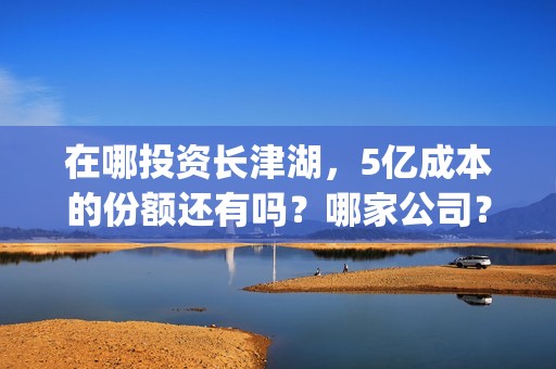 在哪投资长津湖，5亿成本的份额还有吗？哪家公司？(投资长津湖能赚钱吗)