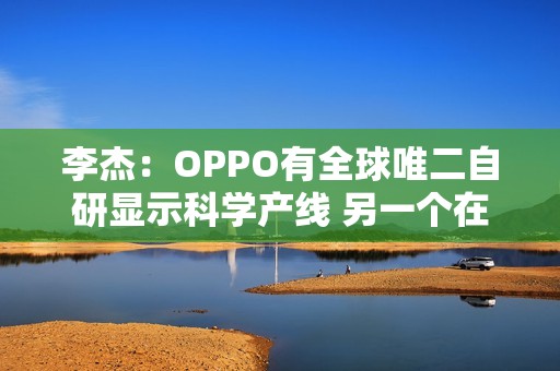 李杰：OPPO有全球唯二自研显示科学产线 另一个在苹果