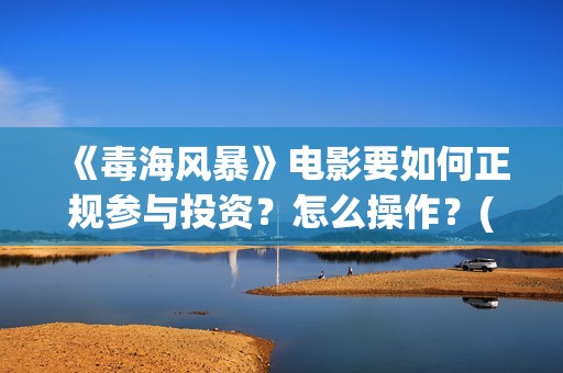 《毒海风暴》电影要如何正规参与投资？怎么操作？(毒海风暴有哪几个公司参与)