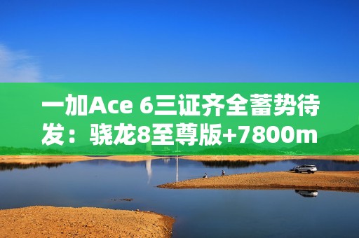 一加Ace 6三证齐全蓄势待发：骁龙8至尊版+7800mAh史上最大电池