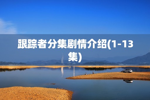 跟踪者分集剧情介绍(1-13集)