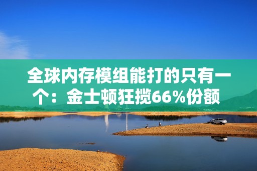全球内存模组能打的只有一个：金士顿狂揽66%份额 其他吊车尾