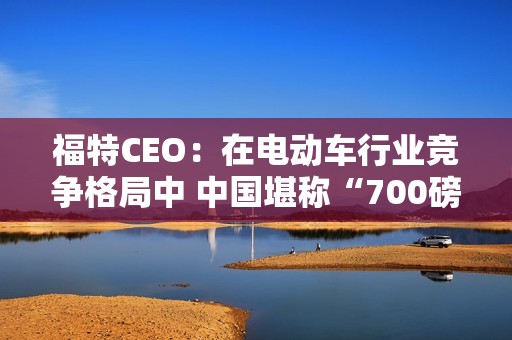 福特CEO：在电动车行业竞争格局中 中国堪称“700磅重大猩猩”