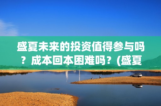 盛夏未来的投资值得参与吗？成本回本困难吗？(盛夏未来成本998万)