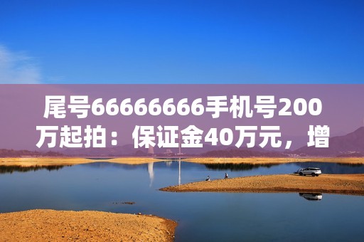 尾号66666666手机号200万起拍：保证金40万元，增价幅度1万元