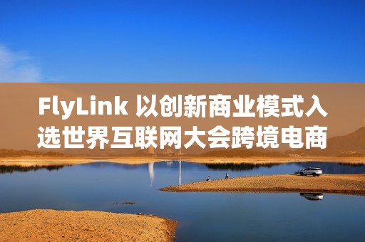 FlyLink 以创新商业模式入选世界互联网大会跨境电商实践案例集