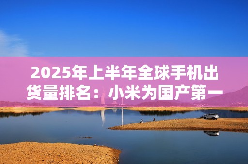 2025年上半年全球手机出货量排名：小米为国产第一