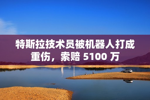 特斯拉技术员被机器人打成重伤，索赔 5100 万