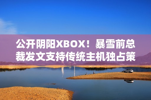 公开阴阳XBOX！暴雪前总裁发文支持传统主机独占策略