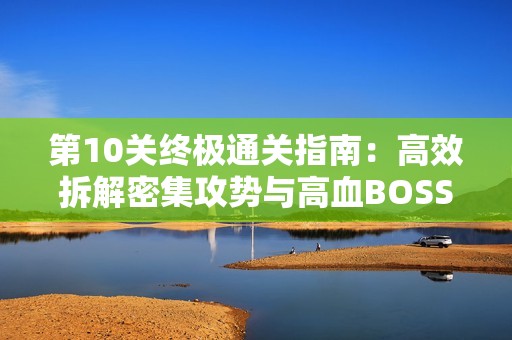 第10关终极通关指南：高效拆解密集攻势与高血BOSS