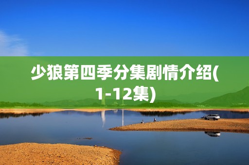 少狼第四季分集剧情介绍(1-12集)