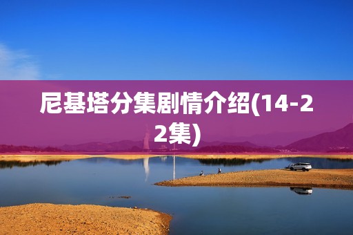 尼基塔分集剧情介绍(14-22集)