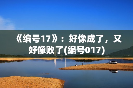 《编号17》：好像成了，又好像败了(编号017)