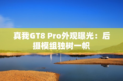 真我GT8 Pro外观曝光：后摄模组独树一帜