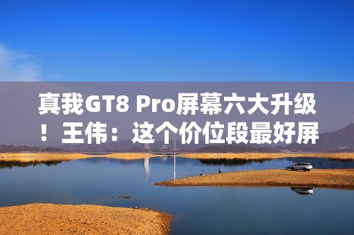 真我GT8 Pro屏幕六大升级！王伟：这个价位段最好屏幕之一